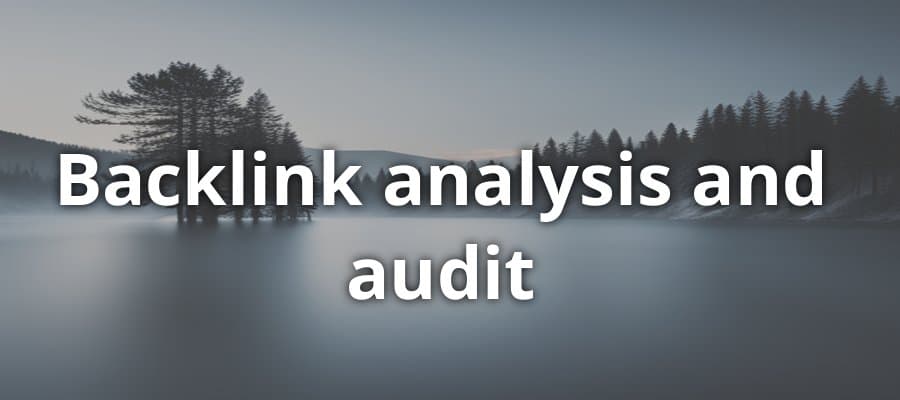 Backlink Analysis and Audit
